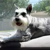thomas haro - @thomas.haro8 - TikTok