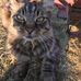 Thomas Harrison - Facebook