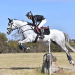 Thomas Harrison - @tjh_eventing - Instagram