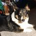 Thomas Hartin - Facebook