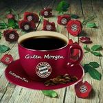 Thomas Harting - @thomas_harting - Instagram
