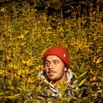 Thomas Harton - @thom_harton - Instagram