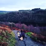 Thomas Wharton - @thomas.wharton.165 - Instagram