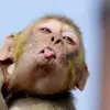 Thomas Hartzsch - @thomas.hartzsch - TikTok
