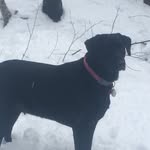 Thomas Haskell - @haskell3200 - Instagram