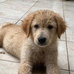 thomas_hassel67 - @thomas_hassel67 - Instagram