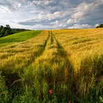Thomas Hasson - @steinhudetom - Instagram