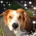Thomas Hauschild - Facebook