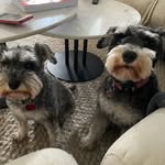Thomas Hazell - @hazell6420 - Instagram