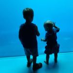 Thomas Hazell - @hazell__thomas - Instagram