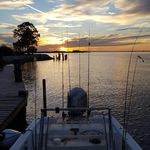 Thomas Heap - @thomas.heapster - Instagram