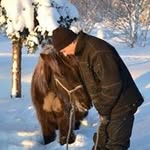 Thomas Hedlund - @hedlund_thomas - Instagram