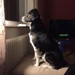 Thomas Hedlund - @hedlund734 - Instagram