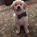 Thomas Heenan - Facebook