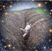 Thomas Heger - Facebook
