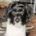 Thomas Heiliger - Facebook