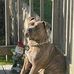 Thomas Heilman - Facebook