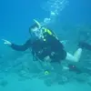 Thomas Heim - @thomas.heim5 - TikTok