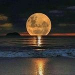 Thomas Hellmuth - @thomas.hellmuth.12 - Instagram
