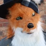 Thomas Helt - @007dogeye - Instagram