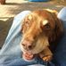 Thomas Hermsen - Facebook