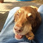 Thomas Hermsen - @thomas.hermsen1 - Instagram