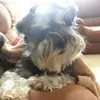 Thomas Herndon705 - @thomasherndon705 - TikTok