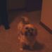 Thomas Hetrick - Facebook
