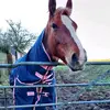 thomasheys1975 - @thomasheys1975 - TikTok