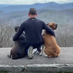 Thomas Hibbs - @tbonehibbs - Instagram