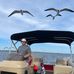 Thomas Hibb Hibler - Facebook