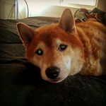 James Thomas Hickerson - @kidtrapper14 - Instagram