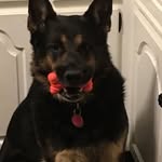 Thomas Hickox - @thomas.hickox - Instagram