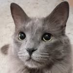 Thomas Hightower - @thomas_hightower - Instagram