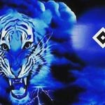 Thomas Hilbert - @thomas.hilbert - Instagram