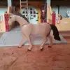 thomas.hilger - @thomas.hilger - TikTok