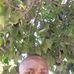 Thomas Hillary - Facebook