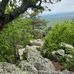 Thomas Himes - Facebook