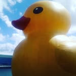 Thomas Himes - @thy_beast05 - Instagram