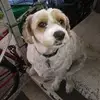 worf235 - @thomasmhimesjr - TikTok