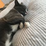 Thomas Hindle - @fortnite_e_p_i_c_ - Instagram