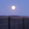 Thomas Hinze - @thomas.hinze4 - TikTok