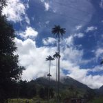 Thomas Hirt - @thomas19675426 - Instagram