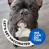 Thomas Hoang - @thomas.hoang33 - TikTok