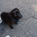 Thomas Hobbs - Facebook