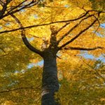 Thomas Hobgood - @hobgood_thomas - Instagram