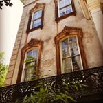 Thomas Hoffman - @everything_savannah_ga - Instagram
