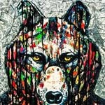 Thomas Hoffmann - @toma.hoffmann - Instagram