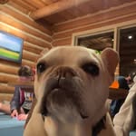 Thomas - @thomashoffmaster03 - Instagram