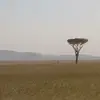 Thomas håkansson - @thomas.hkansson8 - TikTok
